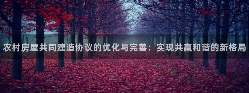 威九国际体育app下载：农村房屋共同建造协议的优化与完善：实现共赢和谐的新格局