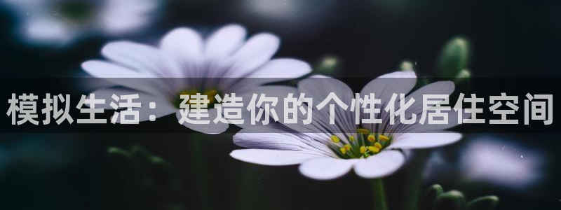 78mapp威九国际官网版：模拟生活：建造你的个性化居住空间