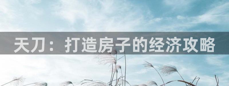 威九国际ppt官网：天刀：打造房子的经济攻略