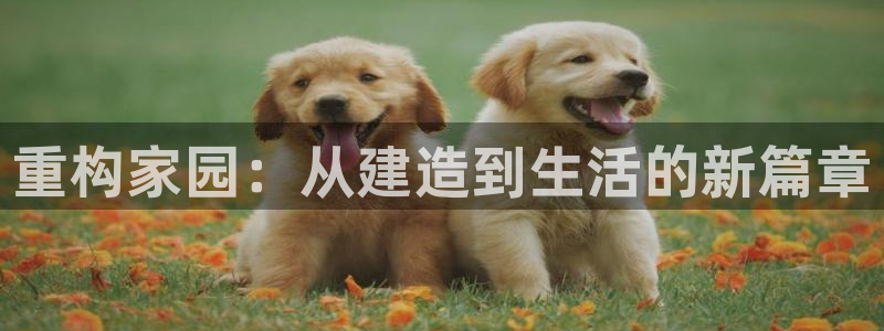 威九国际网站进入AB,AB：重构家园：从建造到生活的新篇章