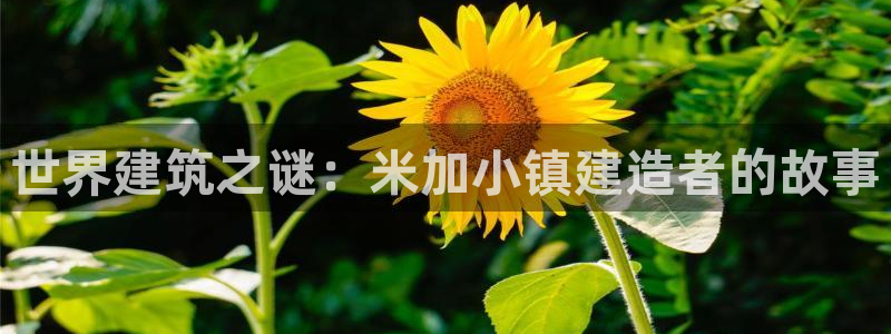 78mapp威九国际成全视频：世界建筑之谜：米加小镇建造者的故事