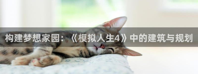 威九国际官方入口官网：构建梦想家园：《模拟人生4》中的建筑与规划