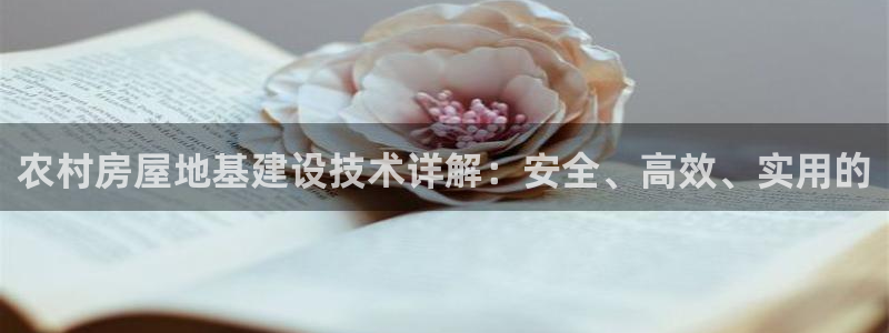 威九国际66m66成长模式免费：农村房屋地基建设技术详解：安全、高效、实用的
