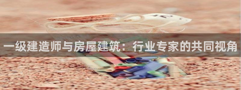 威九国际空降服务女演员叫什么名字：一级建造师与房屋建筑：行业专家的共同视角