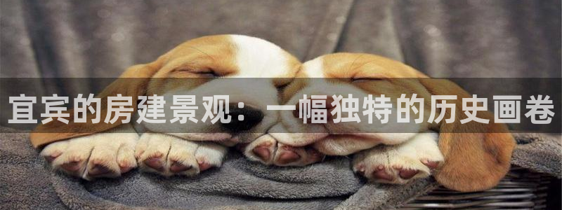 保定威九网络科技有限公司是干嘛的：宜宾的房建景观：一幅独特的历史画卷