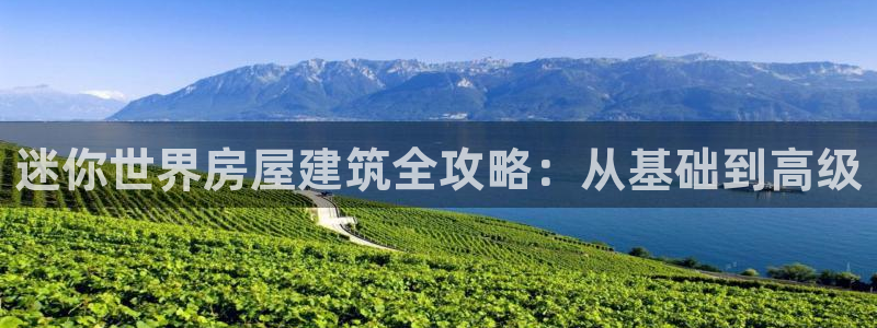 威九国际网站进入客服中心了吗：迷你世界房屋建筑全攻略：从基础到高级