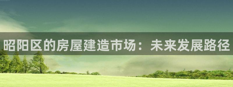 威九国际app客服电话：昭阳区的房屋建造市场：未来发展路径