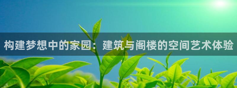 威九国际v96bet官网版：构建梦想中的家园：建筑与阁楼的空间艺术体验