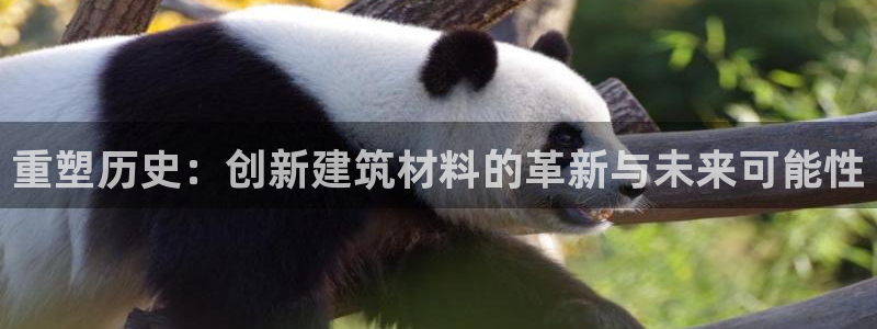威九国际游戏app(网站)：重塑历史：创新建筑材料的革新与未来可能性