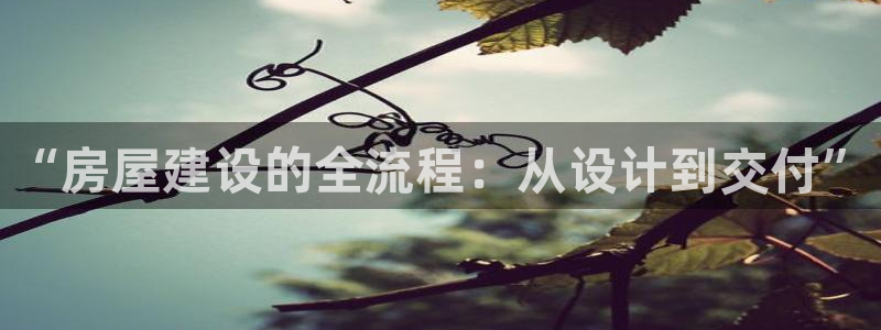 威九国际官网版下载：“房屋建设的全流程：从设计到交付”