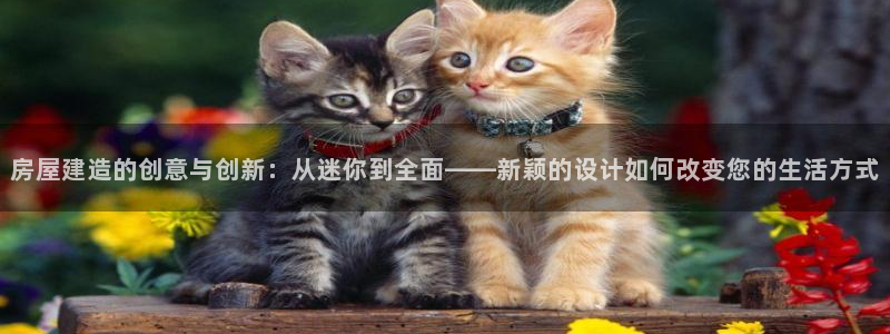 威九国际66m免费下载：房屋建造的创意与创新：从迷你到全面——新颖的设计如何改变您的生活方式