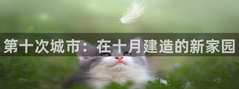 威九国际替好友去：第十次城市：在十月建造的新家园