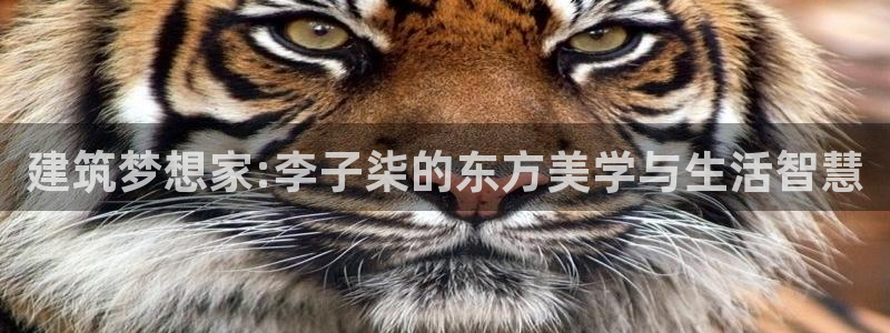 威九国际理论片最经典十首歌曲：建筑梦想家:李子柒的东方美学与生活智慧