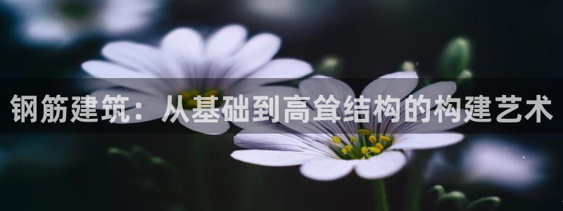 威九国际游戏：钢筋建筑：从基础到高耸结构的构建艺术
