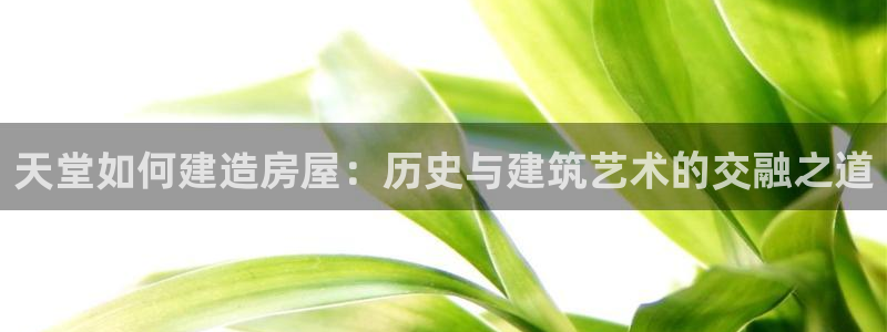 威九国际66：天堂如何建造房屋：历史与建筑艺术的交融之道