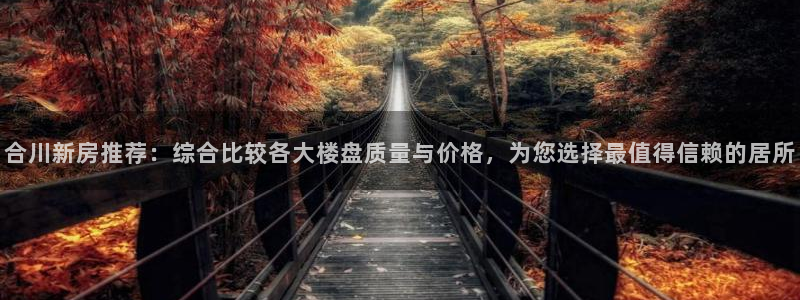 威九国际精忐：合川新房推荐：综合比较各大楼盘质量与价格，为您选择最值得信赖的居所