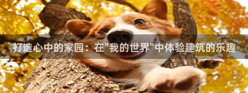 威九国际HP：打造心中的家园：在\
