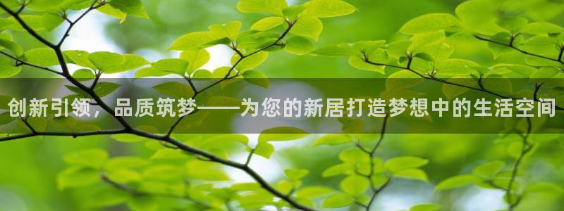 威九国际成长模式：创新引领，品质筑梦——为您的新居打造梦想中的生活空间