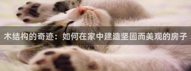 威九国际78mb官网版：木结构的奇迹：如何在家中建造坚固而美观的房子