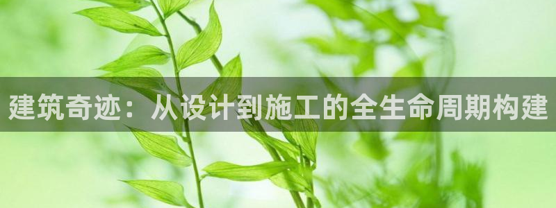 威九国际如何下载：建筑奇迹：从设计到施工的全生命周期构建