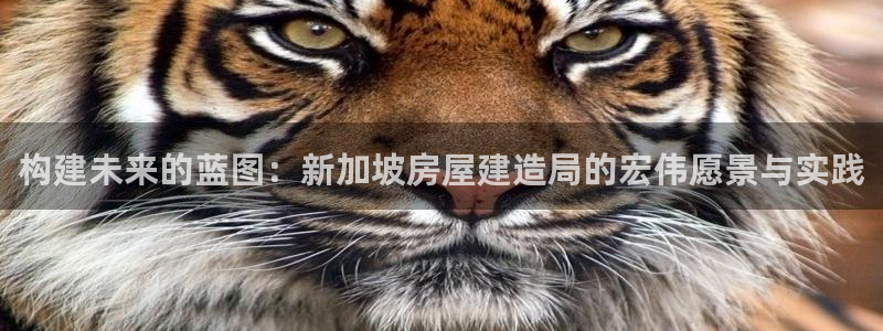 威九国际热舞