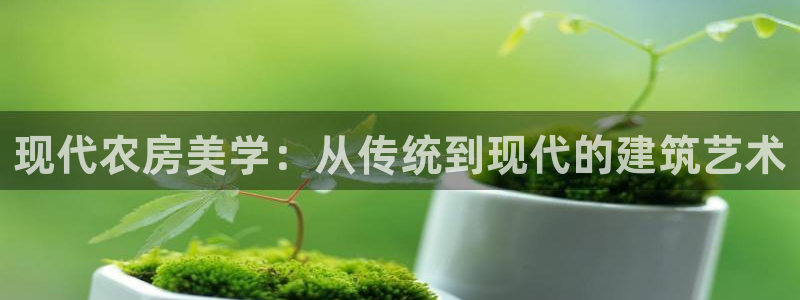 威九国际黄威尼斯：现代农房美学：从传统到现代的建筑艺术
