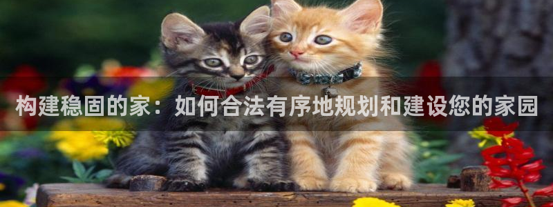 威九国际小说：构建稳固的家：如何合法有序地规划和建设您的家园