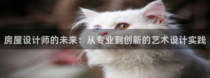 威九国际全国空降：房屋设计师的未来：从专业到创新的艺术设计实践