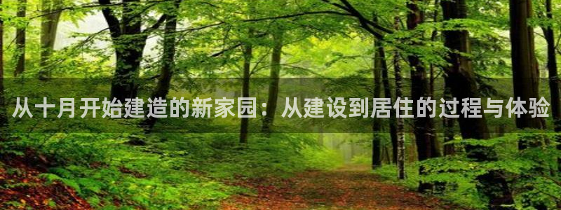 威九国际海域：从十月开始建造的新家园：从建设到居住的过程与体验