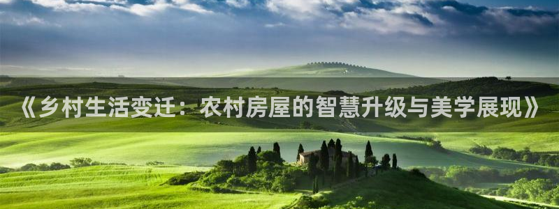 威九国际取款不到账：《乡村生活变迁：农村房屋的智慧升级与美学展现》