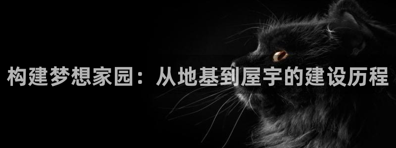 威九国际发布新版eBzxin2Tp：构建梦想家园：从地基到屋宇的建设历程