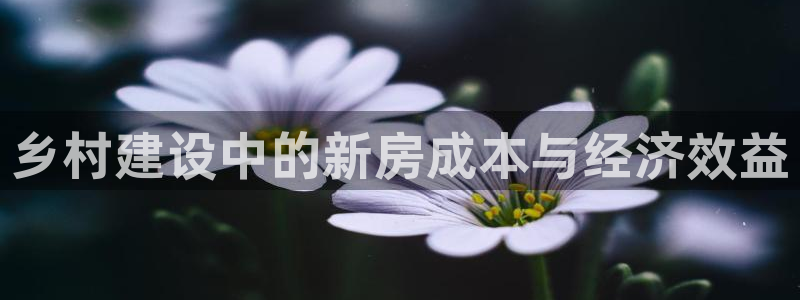 威九国际免费网络站：乡村建设中的新房成本与经济效益