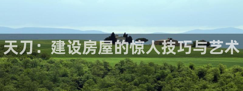 威九国际66m入口：天刀：建设房屋的惊人技巧与艺术