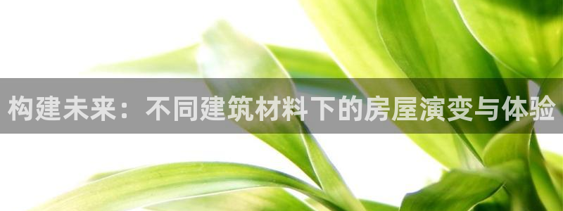 威九国际旗下艺人都有谁：构建未来：不同建筑材料下的房屋演变与体验
