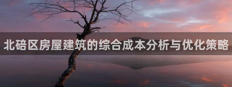 威九国际v9：北碚区房屋建筑的综合成本分析与优化策略