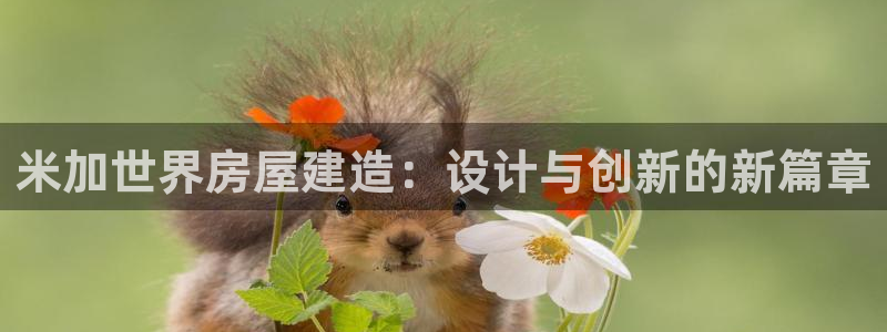 威九国际v96 bet会黑吗：米加世界房屋建造：设计与创新的新篇章