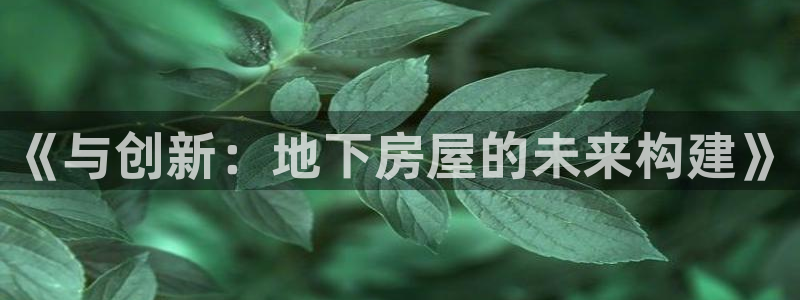 威九国际网站入口rdquo：《与创新：地下房屋的未来构建》