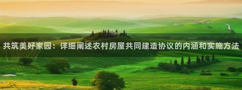 威九国际女神：共筑美好家园：详细阐述农村房屋共同建造协议的内涵和实施方法