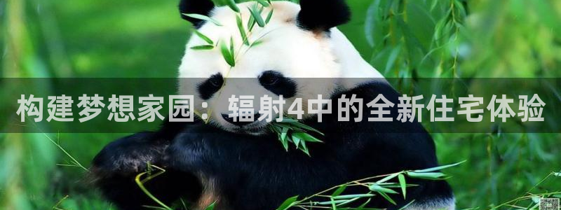 威九国际男主：构建梦想家园：辐射4中的全新住宅体验