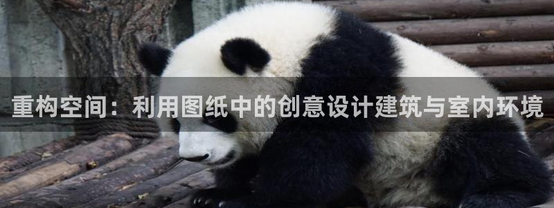 威九国际AN：重构空间：利用图纸中的创意设计建筑与室内环境