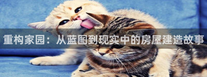78mapp威九国际媒体：重构家园：从蓝图到现实中的房屋建造故事