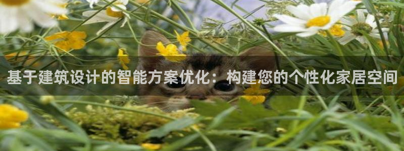 威九国际可以提现吗现在：基于建筑设计的智能方案优化：构建您的个性化家居空间
