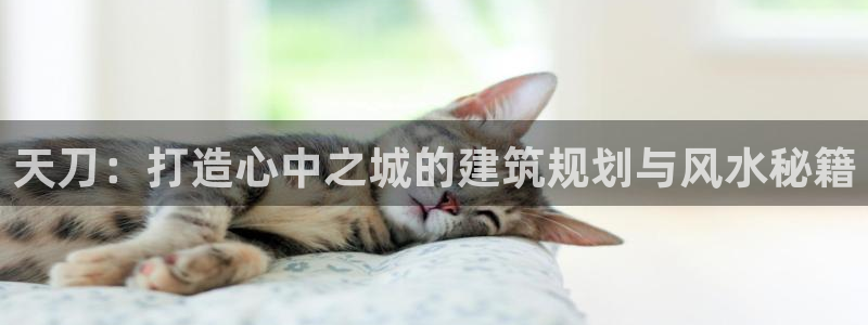 威九国际安全吗：天刀：打造心中之城的建筑规划与风水秘籍