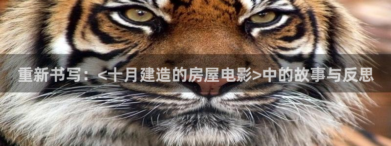 威九国际78mob游戏特色：重新书写：<十月建造的房屋电影>中的故事与反思