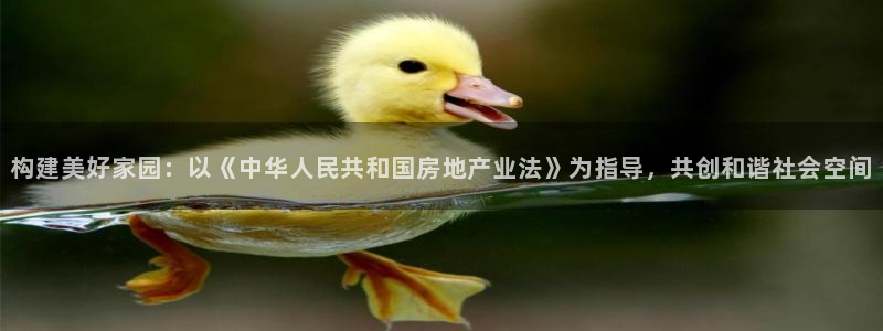威九国际女：构建美好家园：以《中华人民共和国房地产业法》为指导，共创和谐社会空间