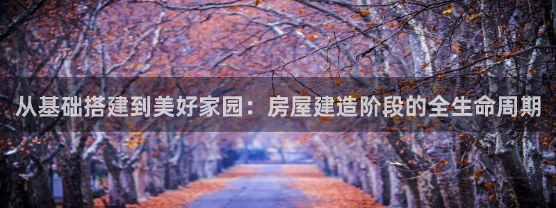威九国际取款不会被骗吧：从基础搭建到美好家园：房屋建造阶段的全生命周期