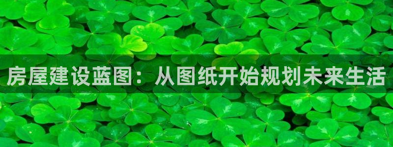 威九国际网页看视频弹窗的广告拦截插件：房屋建设蓝图：从图纸开始规划未来生活
