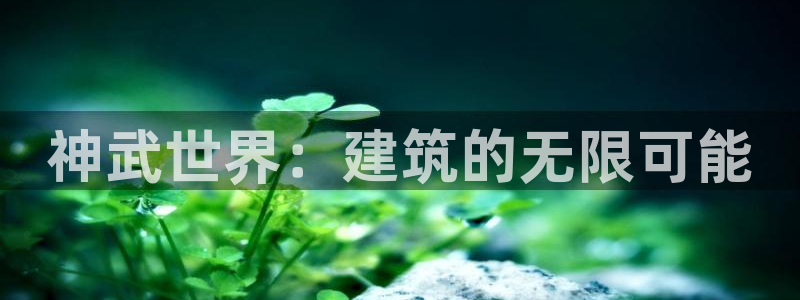 威九国际网站入口官网首页登录：神武世界：建筑的无限可能