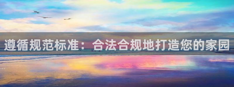 威九国际宣传片：遵循规范标准：合法合规地打造您的家园