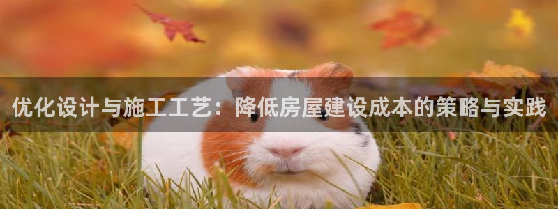 威九国际app网站安全吗：优化设计与施工工艺：降低房屋建设成本的策略与实践